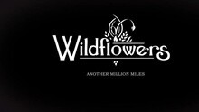 Wildflowers - Another Million Miles