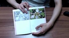 SUGA《花样年华pt.1》Album review