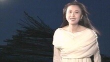 月亮代表我的心