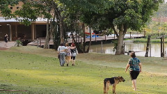Preparativos