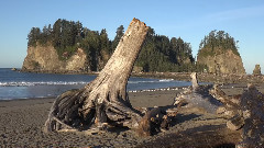 Olympic National Park Beaches, Washington, USA
