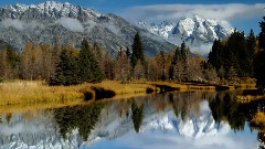 月亮代表我的心