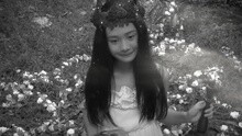 我等到花儿也谢了