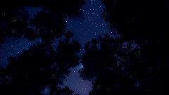 The Best Starlit Sky In The World