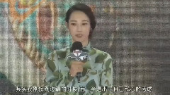 影视原声 - 电影<驯龙高手2> 上海首映式