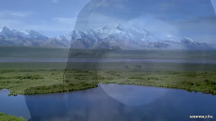 ..and We Extend Hands to the Sky