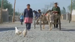 沙漠诗行琵琶曲