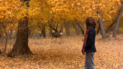Autumn Leaves Acoustic (Cover)