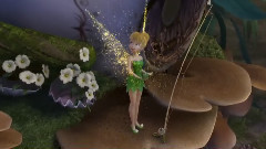 Red Leaves Footprints