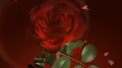 我的眼里只有你