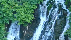 美瑛の青い川と白ひげの滝 美瑛観光•北海道 ディスカバーニッポン