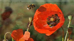 En Un Suspiro (Version Chantee)