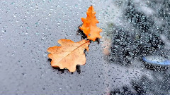 Моя душа - всего лишь Осень