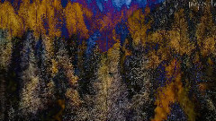 The Sound From The Heart