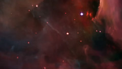 The Orion Nebula (猎户座大星云)