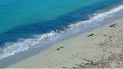 塞浦路斯的色彩 The Colors of Cyprus