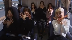 AOA log in TOKYO #7
