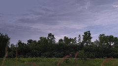 A Schick And Hughes Test Production