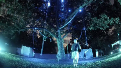 Cycropia Kodama In 2mins