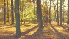 Theresienstein Stadtpark Hof Im Herbst 201