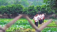 大庾情