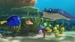 影视原声 - 电影< 海底总动员2Finding Dory >预告
