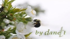 Честита Първа Пролет с Цвете