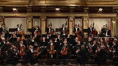 贝多芬c小调第五交响曲 命运 维也纳爱乐乐团