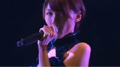 夜蝶