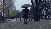 外面下雨 试听版