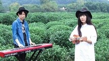 take away show杭州茶山游记 纪录片