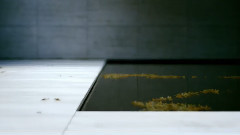 The Third & The Seventh