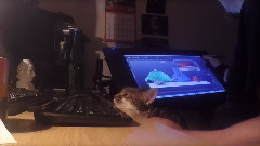 The Animators Assistant