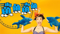 鲨鱼鲨鱼