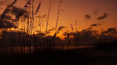 Смотреть видео онлайн в Моем