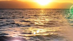 Свежие. Будь курсе последних