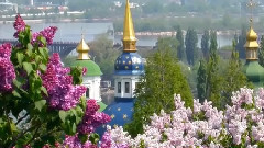 Оттенки сиреневого и белый...Эpнeсmо Kоpmазap. Just fоr you.