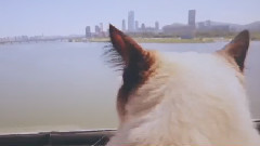 意外的外出