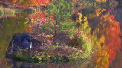 红叶の御射鹿池