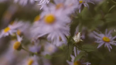 A Rock n Roll Wedding in Suffolk