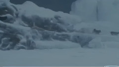 Энигма Белый плен