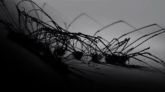 The Death of An Insect