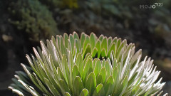 火后浴生的足迹