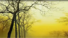 下雨时你会想起谁