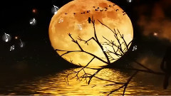Красотата на жълтата луна!