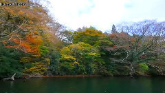 箱根•芦ノ湖の紅葉 日本の紅葉