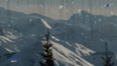 Anne Trenning Just fly