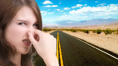 удивительных фактов, которые придется просто принять