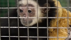 Денис Виктория