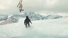 We Are The Faction Collective